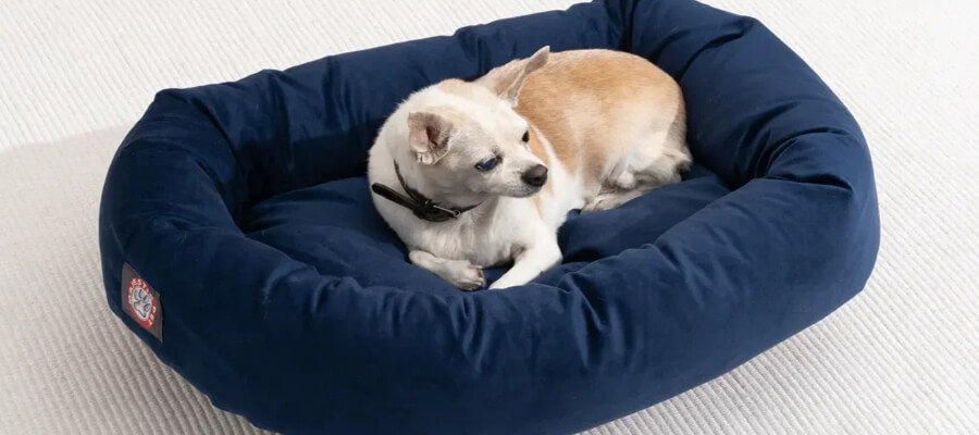 The Ultimate Checklist for First-Time Dog Owners: A Guide to Essentials